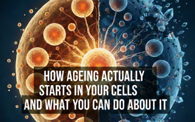 How Ageing Actually Starts in Your Cells and What You Can Do About It